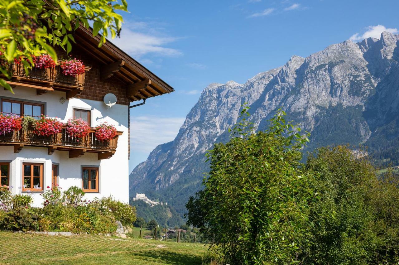 Apartamento Unterschwabegghof Werfen Exterior foto