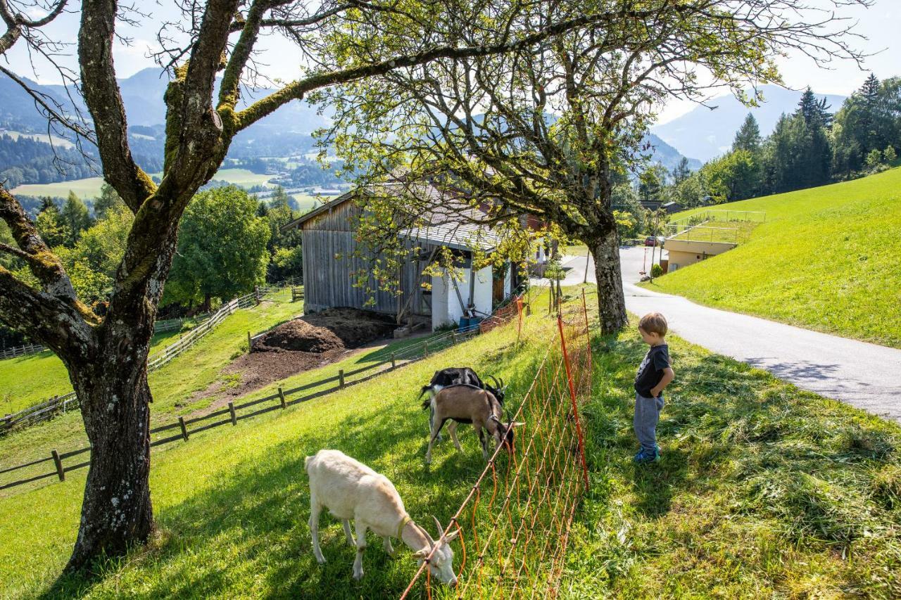 Apartamento Unterschwabegghof Werfen Exterior foto
